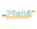 Piatã